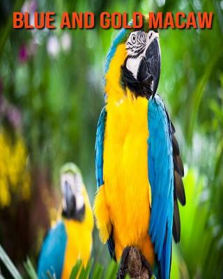 Book cover for Blue and Gold Macaw