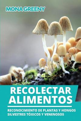 Book cover for Recolectar alimentos