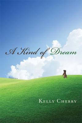 Book cover for Kind of Dream