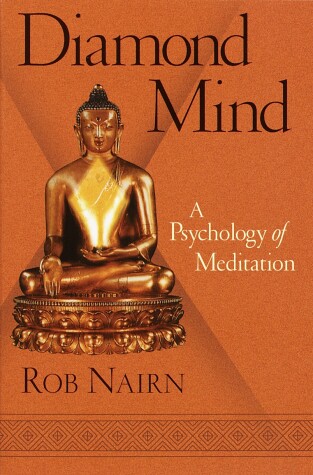 Book cover for Diamond Mind