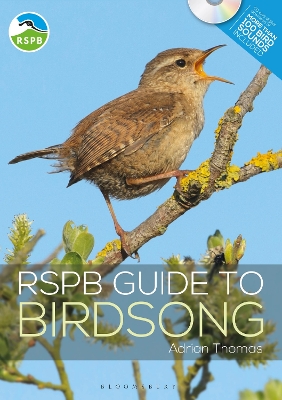 Book cover for RSPB Guide to Birdsong