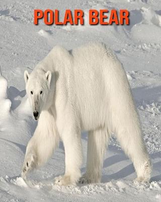 Book cover for Polar Bear