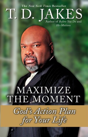 Book cover for Maximize The Moment