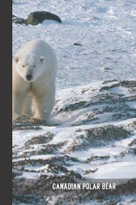 Book cover for Canadian Polar Bear