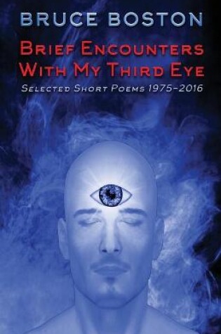 Cover of Brief Encounters with My Third Eye