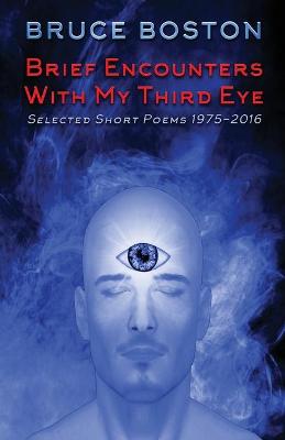 Book cover for Brief Encounters with My Third Eye