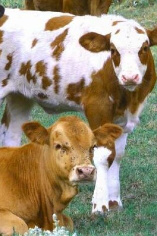 Cover of Cute Brown and White Cows in a Meadow Journal