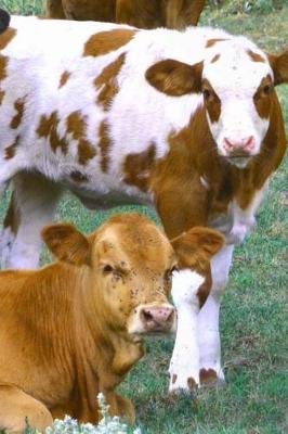 Book cover for Cute Brown and White Cows in a Meadow Journal