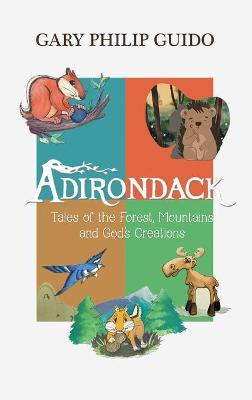Book cover for Adirondack