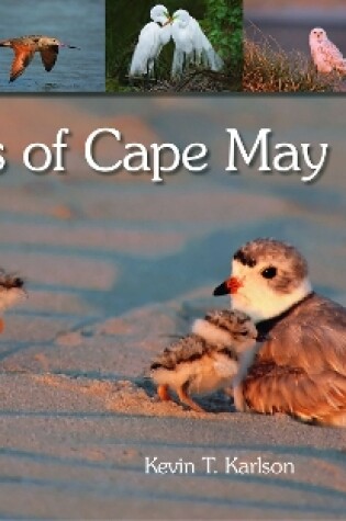 Cover of Birds of Cape May, New Jersey