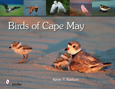 Book cover for Birds of Cape May, New Jersey