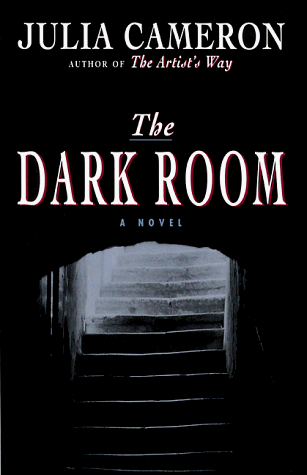 Book cover for The Dark Room