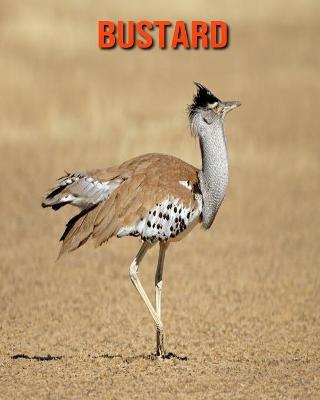 Book cover for Bustard