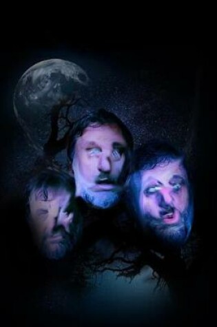 Cover of Slavoj Zizek Beauty and Insanity Under a Full Moon