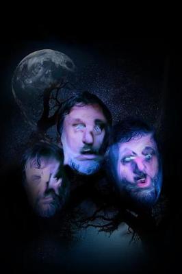 Book cover for Slavoj Zizek Beauty and Insanity Under a Full Moon