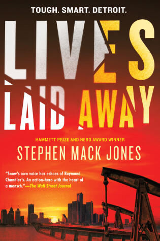Cover of Lives Laid Away