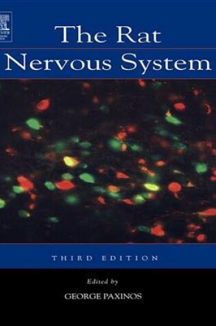 Cover of The Rat Nervous System
