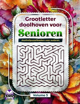 Book cover for Grootletter doolhoven voor senioren