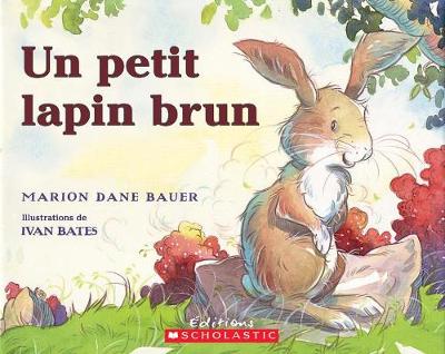 Book cover for Un Petit Lapin Brun