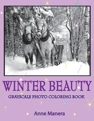 Book cover for Winter Beauty Grayscale Photo Coloring Book