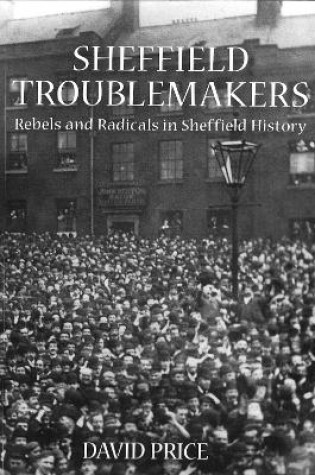 Cover of Sheffield Troublemakers