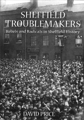 Book cover for Sheffield Troublemakers