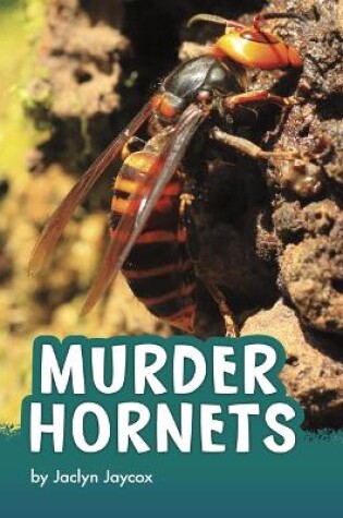 Cover of Murder Hornets