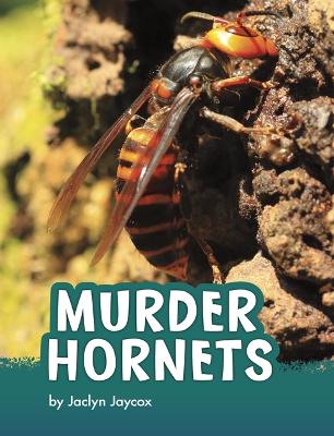Book cover for Murder Hornets
