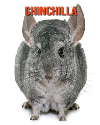 Book cover for Chinchilla