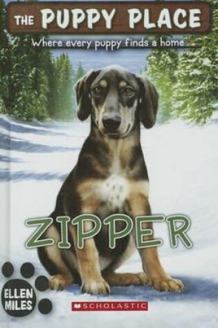 Cover of Zipper