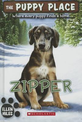 Book cover for Zipper