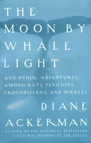 Book cover for Moon By Whale Light