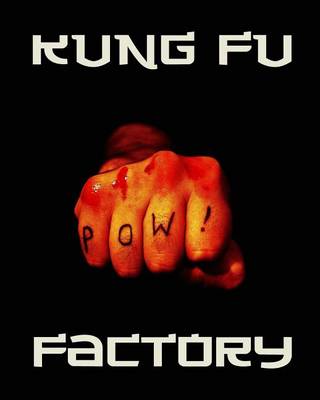 Book cover for Kung Fu Factory
