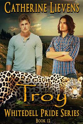 Book cover for Troy