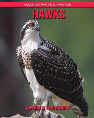 Book cover for Hawks
