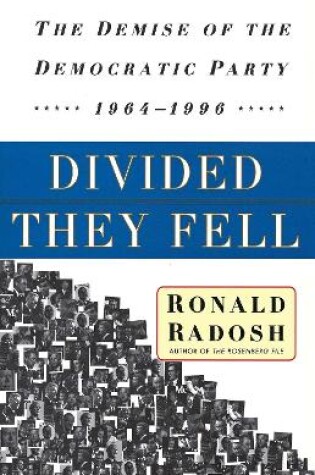 Cover of Divided They Fell