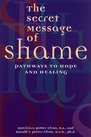 Book cover for The Secret Message of Shame