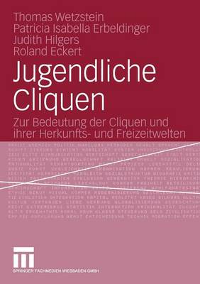 Book cover for Jugendliche Cliquen