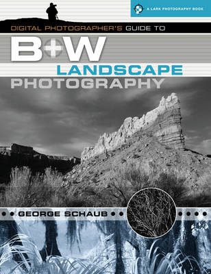 Book cover for Digital Photographer's Guide to B+w Landscape Photography