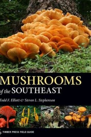 Cover of Mushrooms of the Southeast