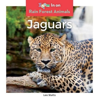 Book cover for Jaguars