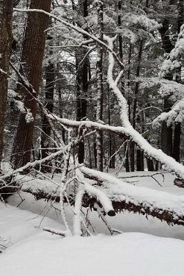 Book cover for Snowstorm Winter Day Photography Journal