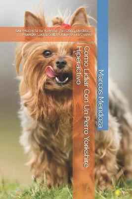 Book cover for Como Lidiar Con Un Perro Yorkshire Hiperactivo