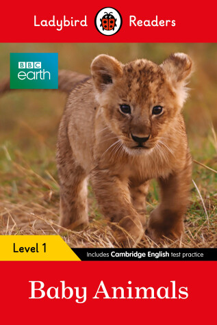 Book cover for BBC Earth: Baby Animals - Ladybird Readers Level 1