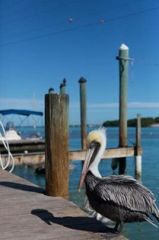 Cover of Pelican in Key West Florida Bird Journal