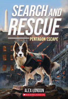 Book cover for Pentagon Escape (Search and Rescue)