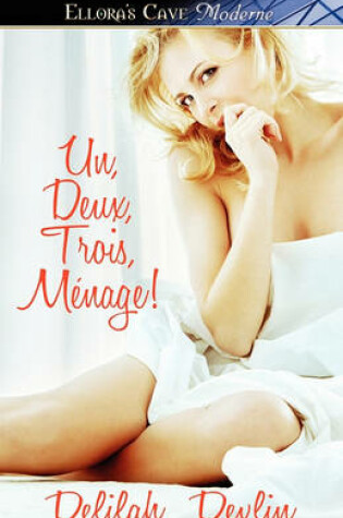 Cover of Un, Deux, Trois, Menage!