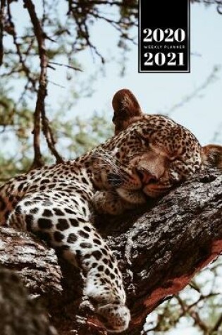 Cover of Panther Leopard Cheetah Cougar Week Planner Weekly Organizer Calendar 2020 / 2021 - Sleeping