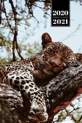 Cover of Panther Leopard Cheetah Cougar Week Planner Weekly Organizer Calendar 2020 / 2021 - Sleeping