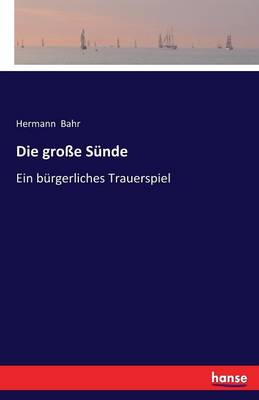 Book cover for Die große Sünde